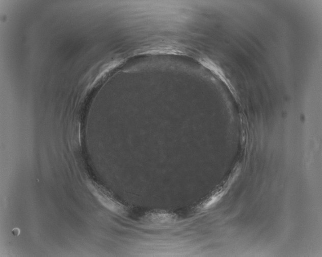 X0000062630205200512211238