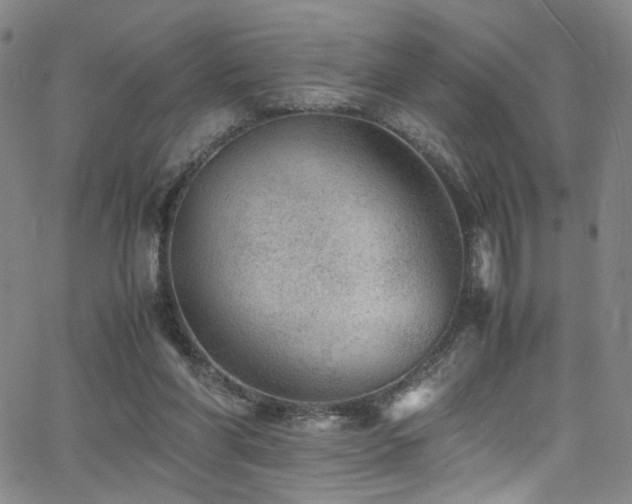 X0000062630206200512211238