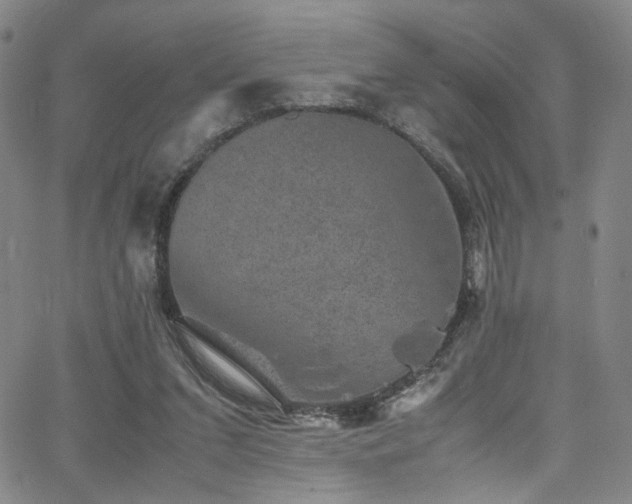 X0000062630207200512211238