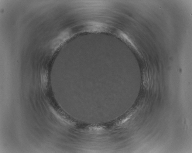 X0000062630208200512211237