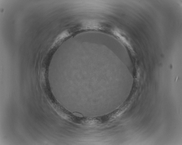 X0000062630209200512211237