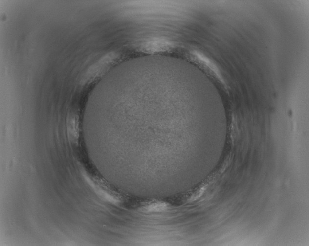 X0000062630210200512211237