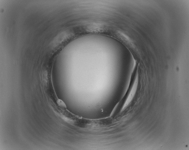 X0000062630211200512211237