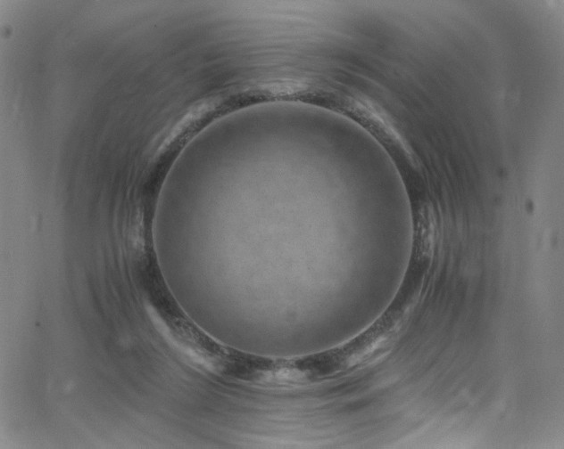 X0000062630212200512211237