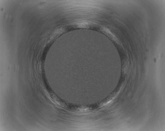 X0000062630213200512211237