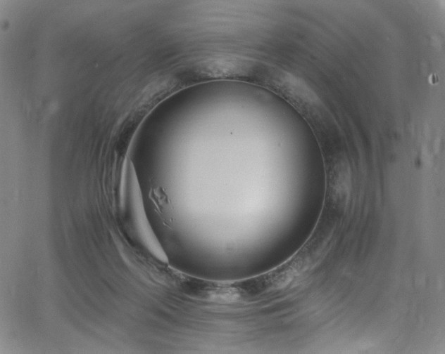 X0000062630214200512211237