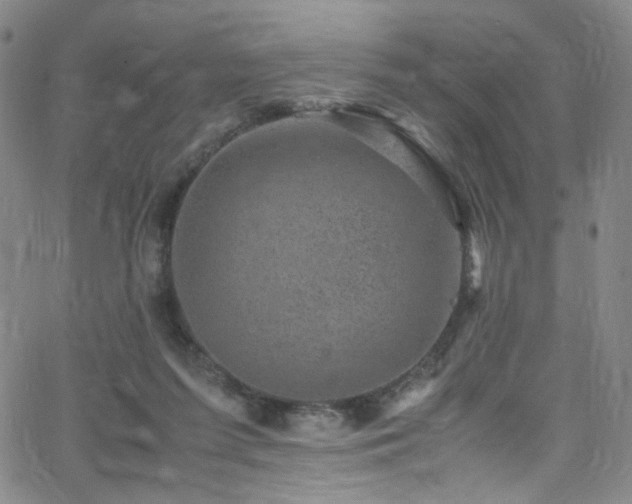 X0000062630215200512211237