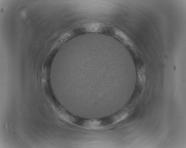 X0000062630217200512211237