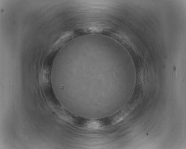 X0000062630218200512211237