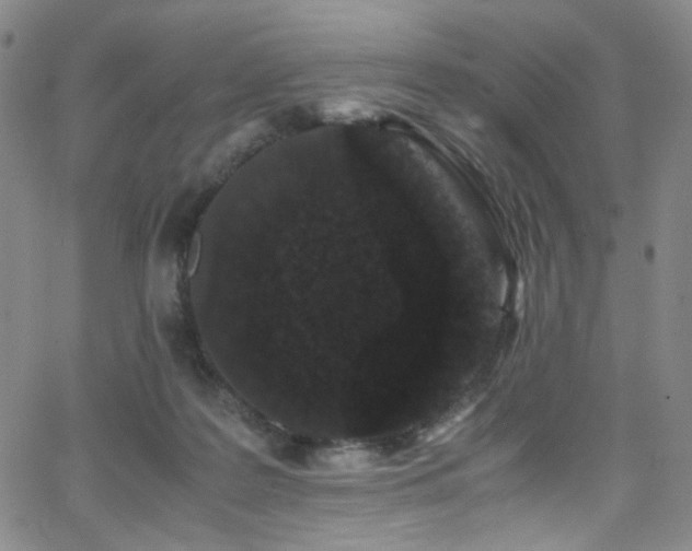 X0000062630219200512211237