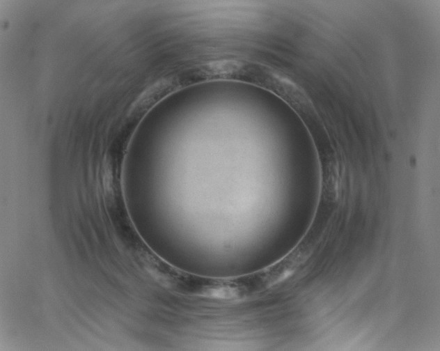 X0000062630220200512211237