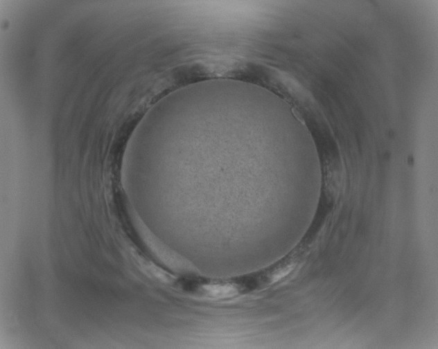 X0000062630221200512211237