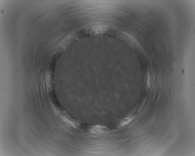 X0000062630222200512211237