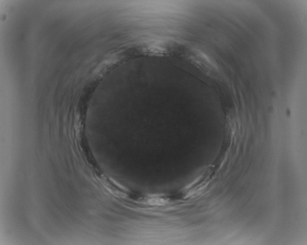 X0000062630223200512211237