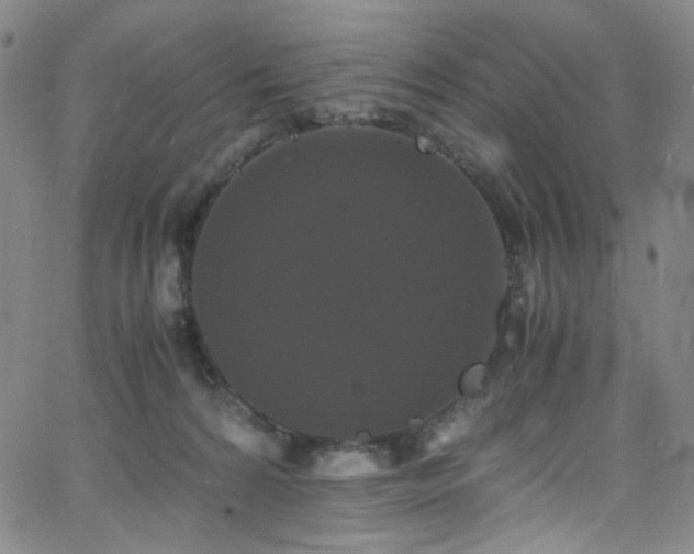 X0000062630224200512211237