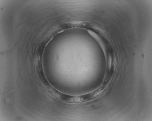 X0000062630225200512211237