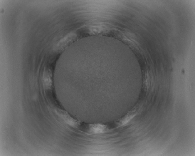 X0000062630226200512211237