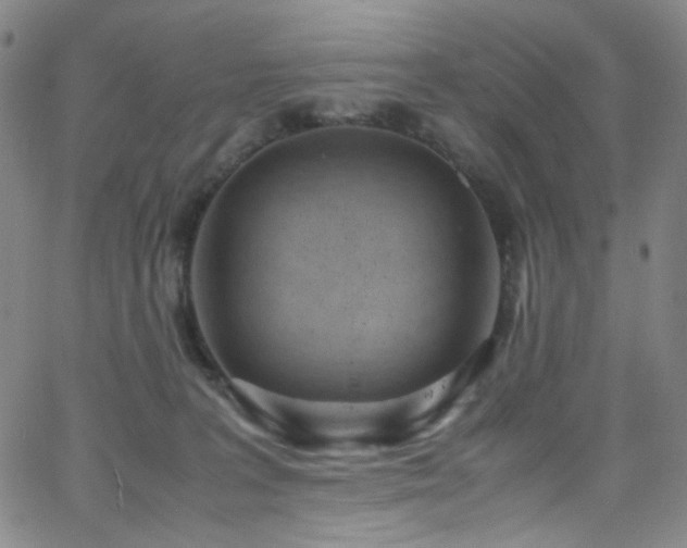 X0000062630227200512211237