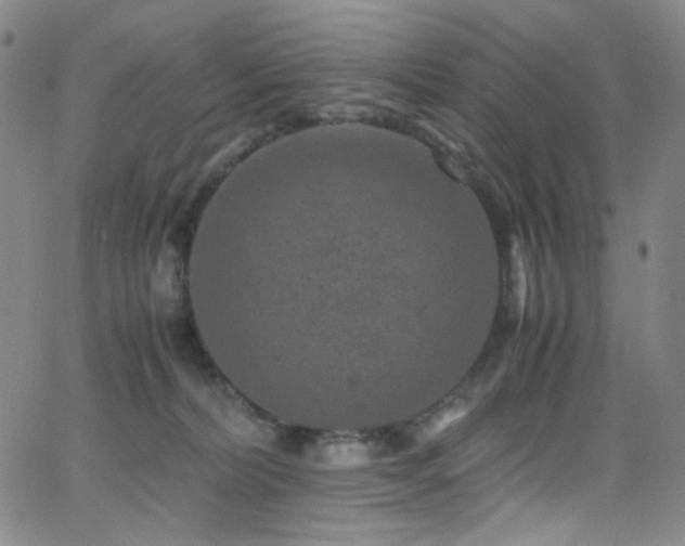 X0000062630228200512211237