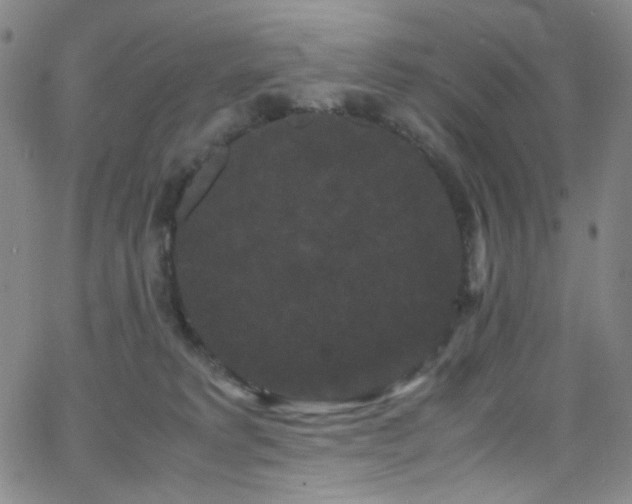 X0000062630229200512211237