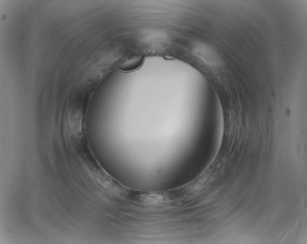 X0000062630230200512211237