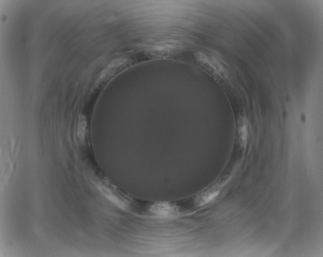 X0000062630231200512211237