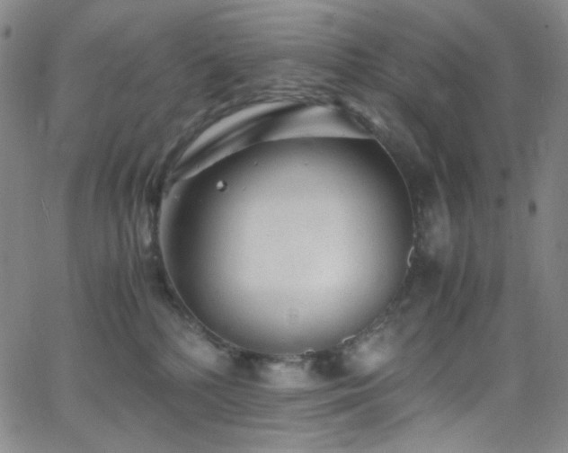 X0000062630232200512211237