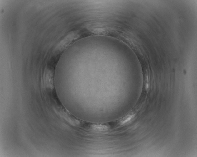 X0000062630234200512211237