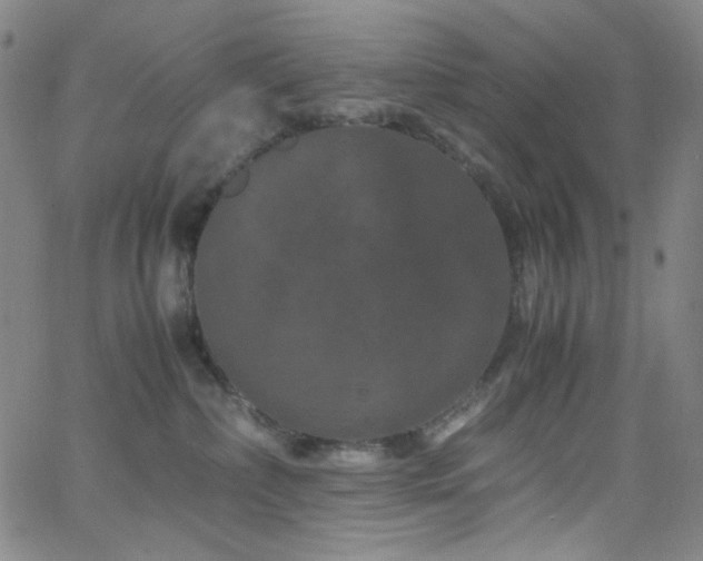 X0000062630236200512211237