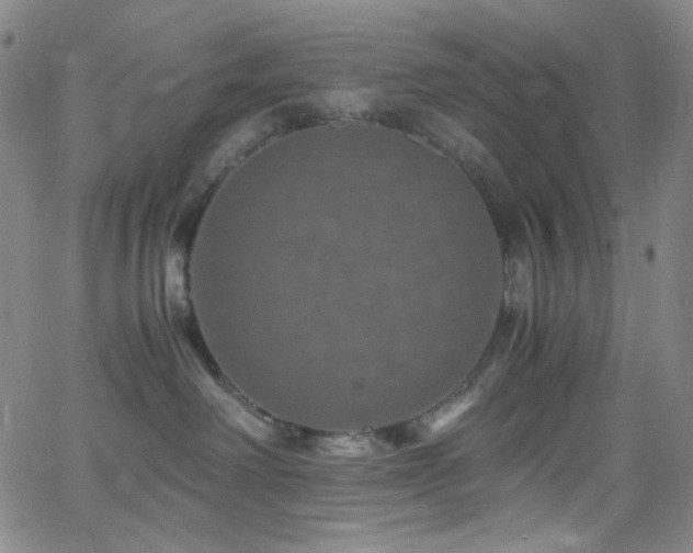 X0000062630238200512211237