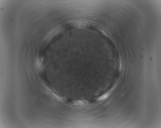 X0000062630239200512211237