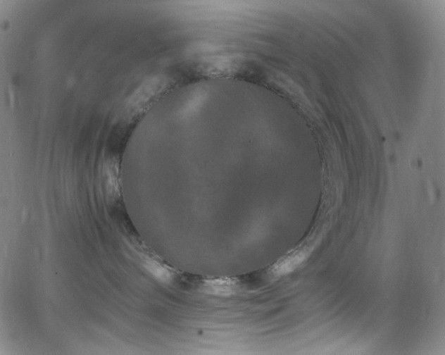 X0000062630240200512211237