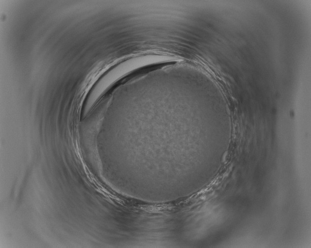 X0000062630241200512211236