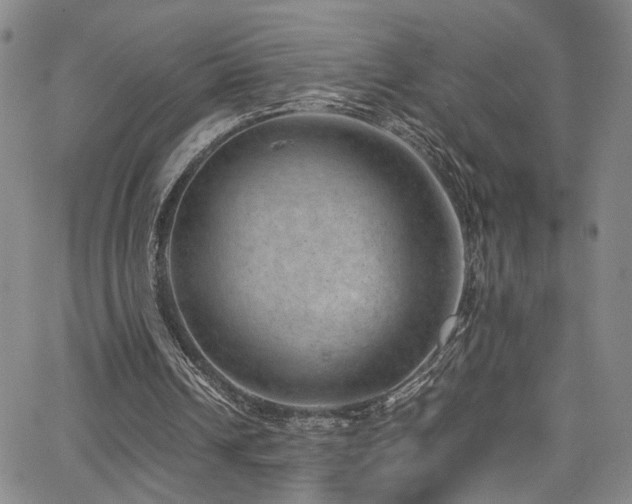 X0000062630242200512211236