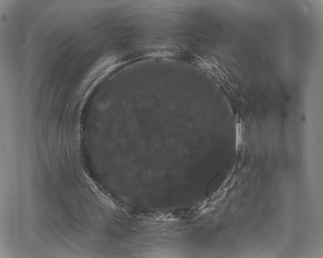 X0000062630243200512211236