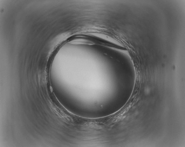 X0000062630244200512211236