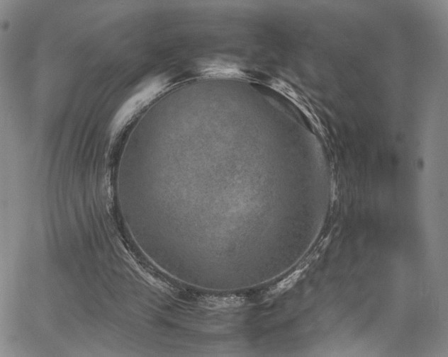 X0000062630245200512211236