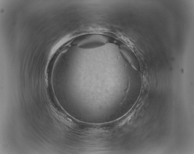 X0000062630246200512211236