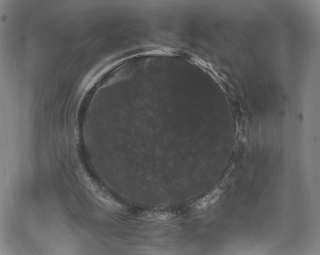 X0000062630247200512211236