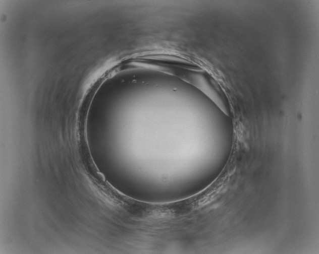 X0000062630248200512211236