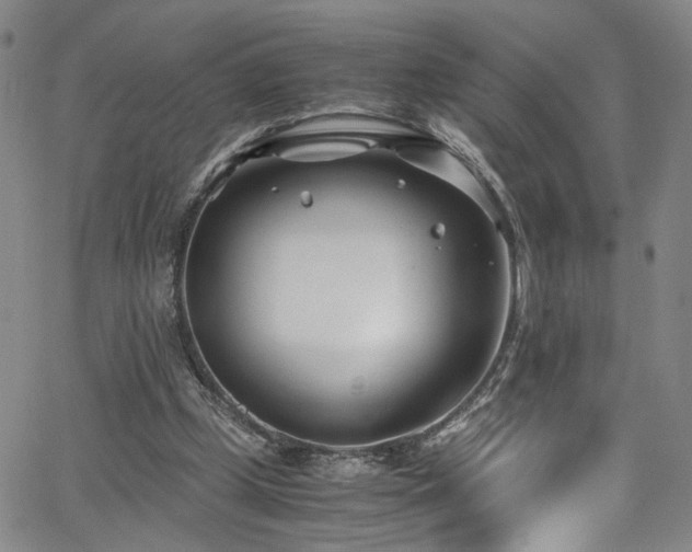 X0000062630249200512211236