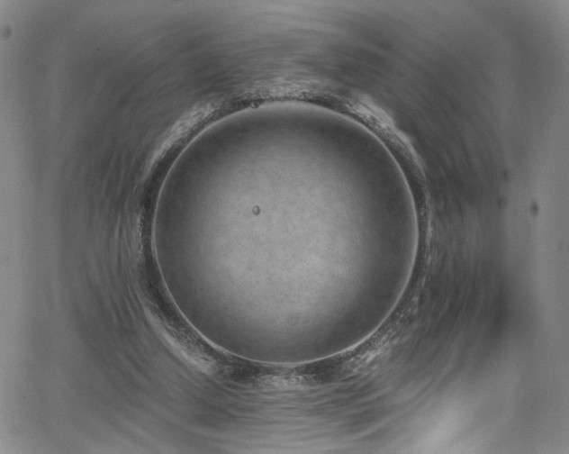 X0000062630250200512211236