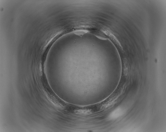 X0000062630251200512211236