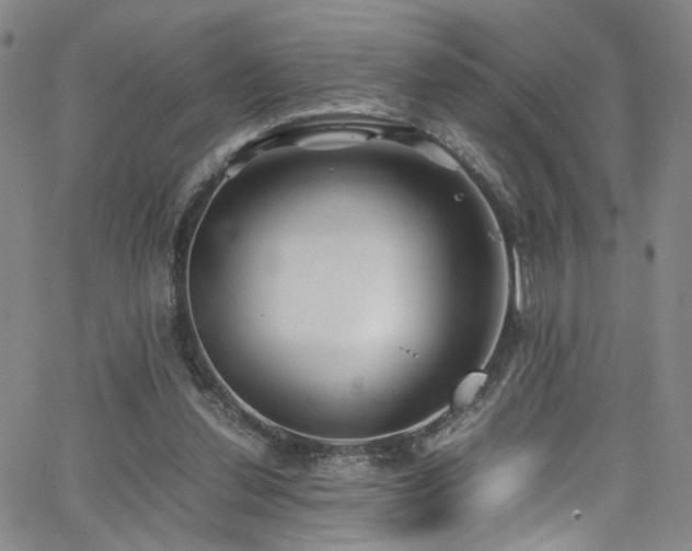 X0000062630252200512211236