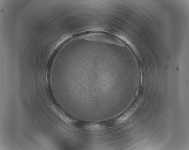 X0000062630253200512211236