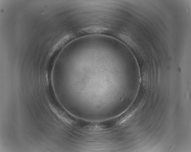 X0000062630254200512211236