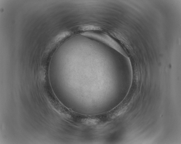 X0000062630255200512211236