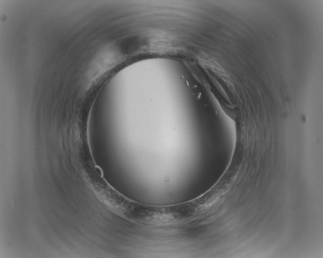 X0000062630256200512211236