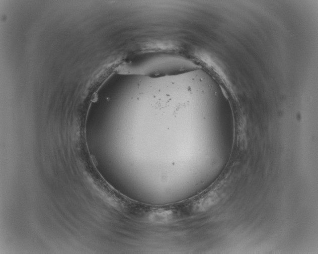 X0000062630257200512211236