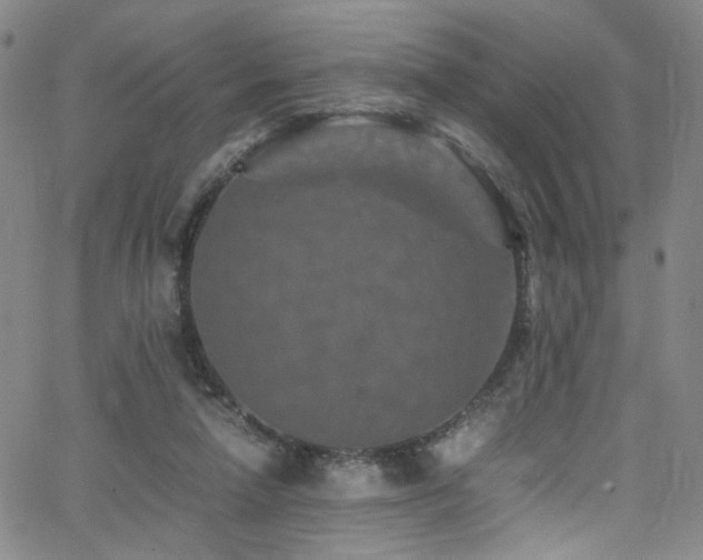 X0000062630258200512211236